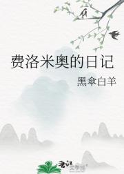 费洛米奥的日记