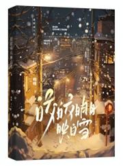 皎皎明月映白雪
