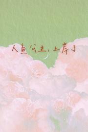 人鱼公主，上岸了