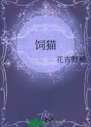 饲猫
