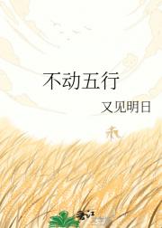 不动五行