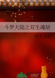 斗罗大陆之双生魂劫