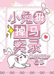 小兔狲掉马实录