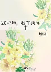 2047年,我在读高中