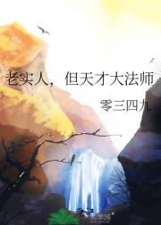 老实人，但天才大法师