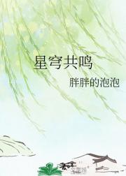 星穹共鸣