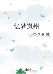 忆梦岚州