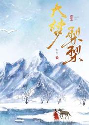 大梦梨梨