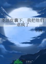 圣洁皮囊下，我把他们虐疯了