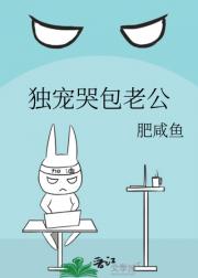 独宠哭包老公