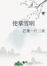 使掌雪明