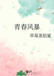 青春风暴