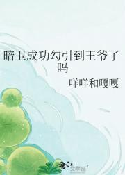 暗卫成功勾引到王爷了吗