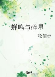 蝉鸣与碎星