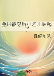 金丹被夺后小乞儿崛起了