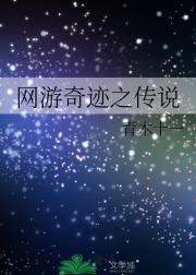 网游奇迹之传说