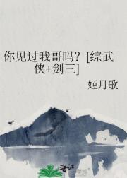 你见过我哥吗？[综武侠+剑三]