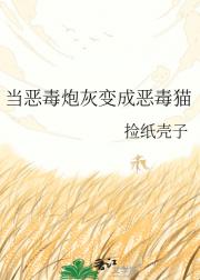 当恶毒炮灰变成恶毒猫