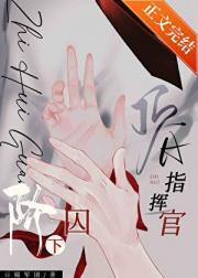 阶下囚，但标记了顶A指挥官