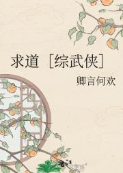 求道［综武侠］