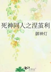 死神同人之涅茧利