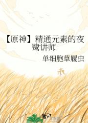 【原神】精通元素的夜鹭讲师