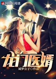 龙门医婿