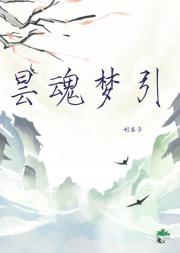昙魂梦引