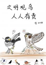 文明观鸟人人有责