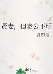 贤妻，但老公不明