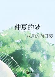 仲夏的梦