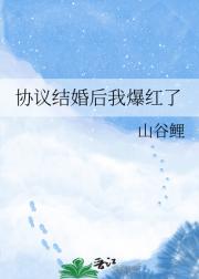 协议结婚后我爆红了