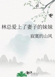 林总爱上了妻子的妹妹