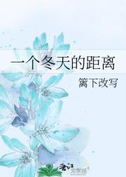 一个冬天的距离