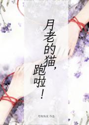 月老的猫，跑啦！