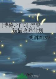 [博德之门3] 流浪猫猫收养计划
