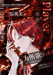 「综英美」可是palyer就该为所欲为啊