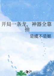 开局一条龙，神器全靠抽