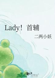 Lady!首辅