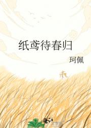 纸鸢待春归
