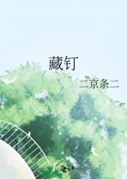 藏钉