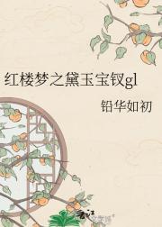 红楼梦之黛玉宝钗gl