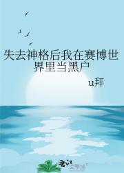 失去神格后我在赛博世界里当黑户