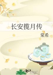 长安揽月传