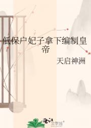 低保户妃子拿下编制皇帝