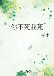 你不死我死