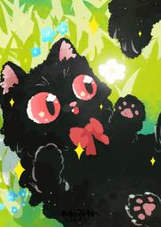 给大佬递一只猫猫莱