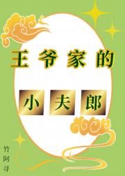 齐王家的小夫郎