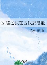 穿越之我在古代搞电能