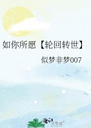 如你所愿【轮回转世】